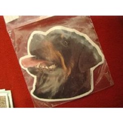 Dekaler Rottweiler hoved stor