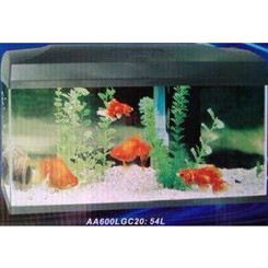 54l.starts�t Rect 60cm