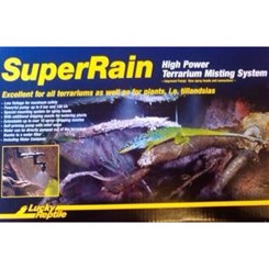 SuperRain Lucky Reptile