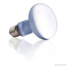 Sunglo spot 50w 