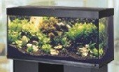Juwel Rio 300 skab