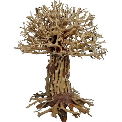 Bonsai wood tree - Pagode bonsai - trærod - 30x20x35cm