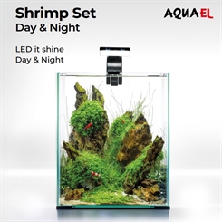 Shrimp set 20 - Day and Night - akvarium sort