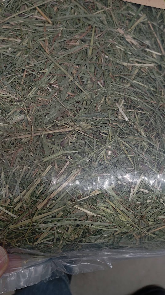 Fint, grønt hø med korte strå set gennem plastposen