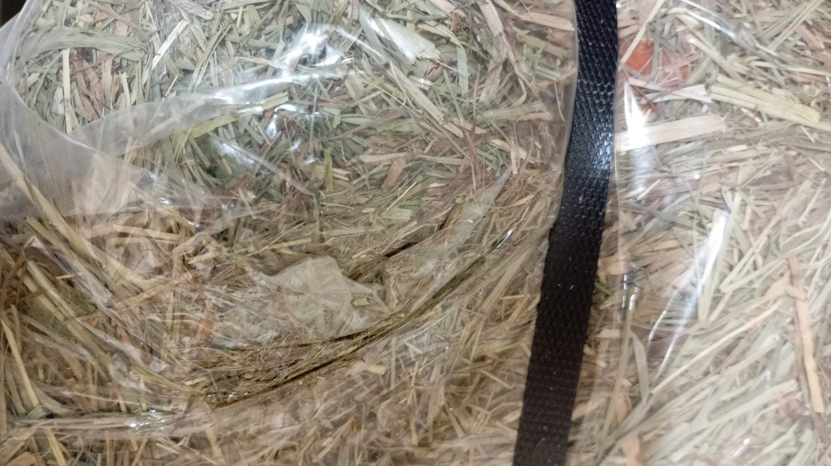 Lyst, gulligt hø i en pose med plastbånd