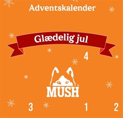 MUSH Adventskalender 2026