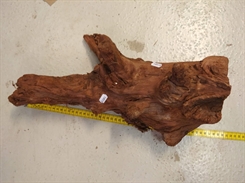 Trærod unik - Mangrove trærod - 35-49cm - A - Flyder