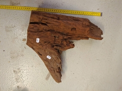 Trærod unik - Mangrove trærod - 35-49cm - B