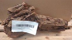Trærod 50-65cm - Mangrove - Assorteret pluk