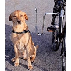 Cykelfæstne til hunde