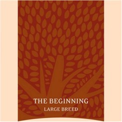 Essential the beginning 10 kg Large breed