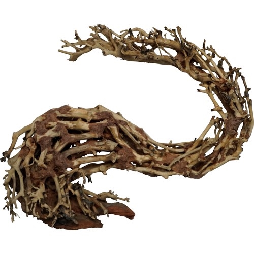 Bonsai wood tree - Dragonhead - trærod - 30x13x23cm