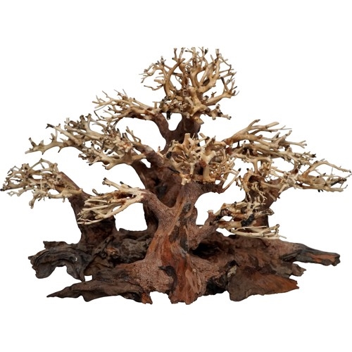 Bonsai wood tree - Mini Forest - trærod - 50x25x30cm