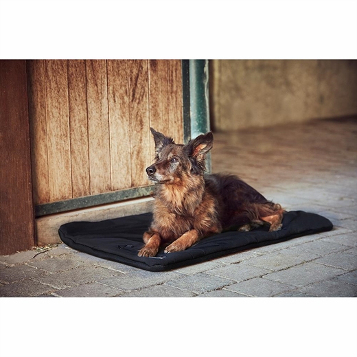 Hundepude med varme - Catago - 90x60cm - Fir-Tech Pro