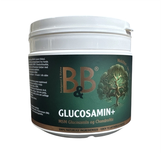Glucosamin + 250g - B&B