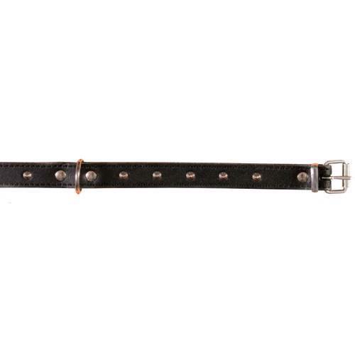 Halsbånd sort med nitter 24-28cm - Outlet