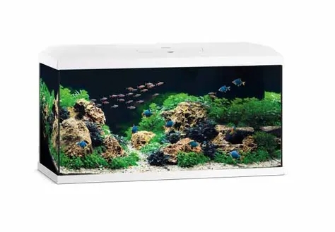 Juwel akvarium Primo 110 v2 - 81cm hvid akvarie startsæt