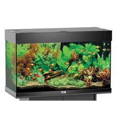 Juwel Rio 125 LED Uden Bord - Sort