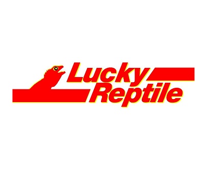 Lucky reptile