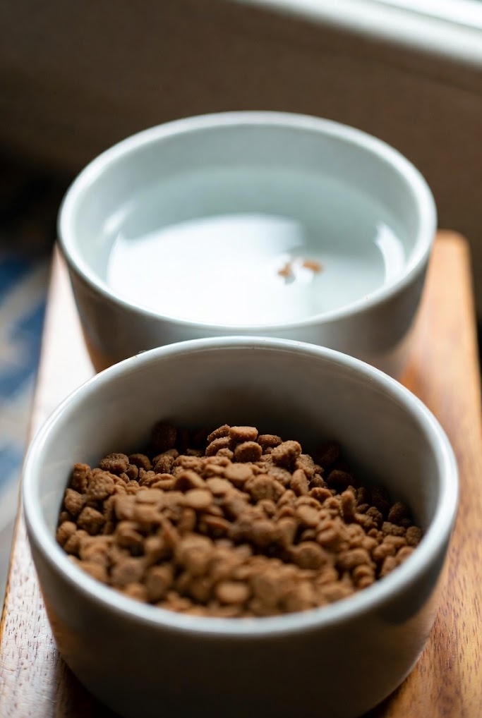 Madskåle & Vandskåle til katte