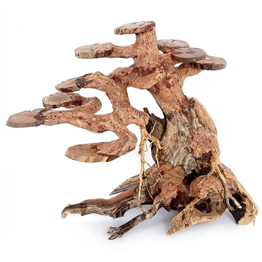Ozami Bonsai Wood 23x17x10 cm - trærod