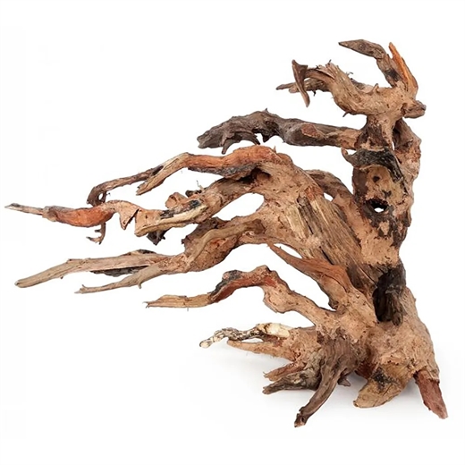 Ozami Bonsai Wood 25x20x14cm - trærod