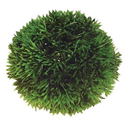 Plant Ball 9cm plastik