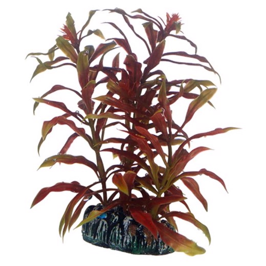 Plast plante Nesaea 13 cm