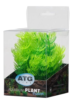 Plast plante premium - 8-14cm - RP203