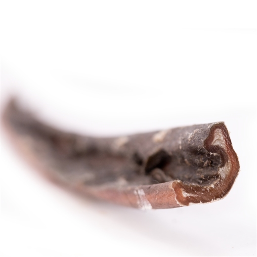 Snack\'it Kamelhud 70cm indpakket