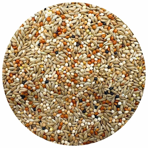 Undulat blanding deluxe - 5kg