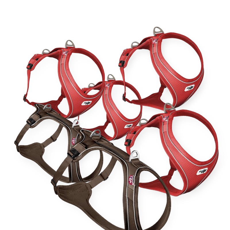 Air-mesh seler - Curli 