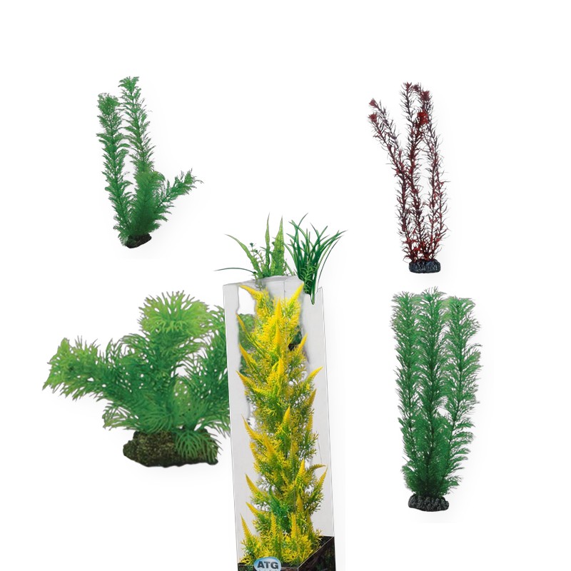 Akvarieplanter