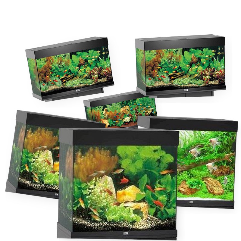 Akvarier, Juwel uden bord
