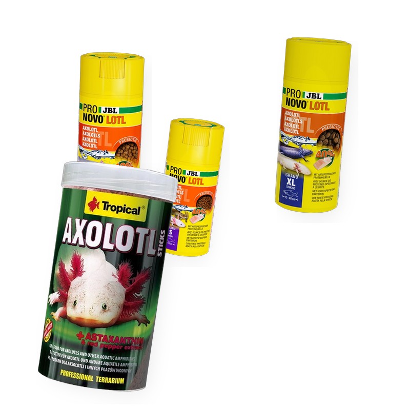 Axolotl foder