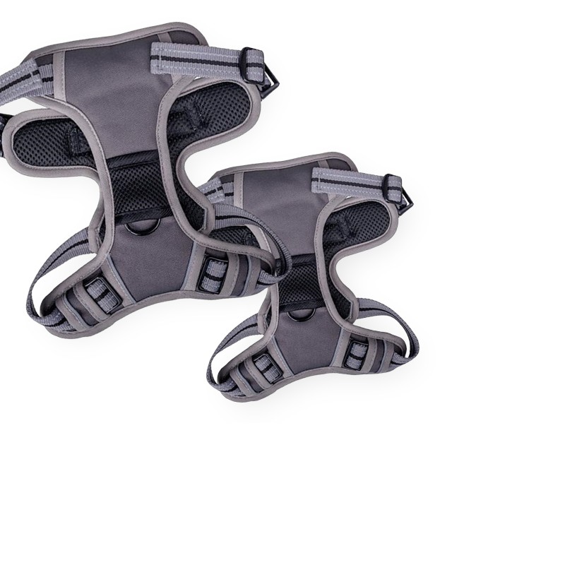 Companion No-Pull dog sele