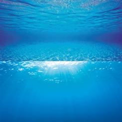 Fotobaggrund - Poster 2 L - Blue water - 100 x 50 cm