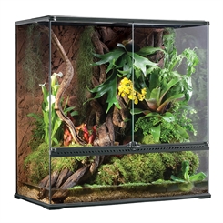 Exo Terra glasterrarium 90 x 45 x 90 cm set forfra med indrettet regnskov