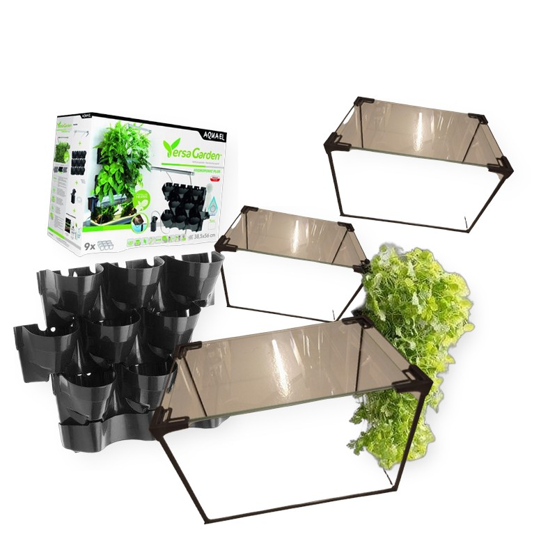 Glas akvarie