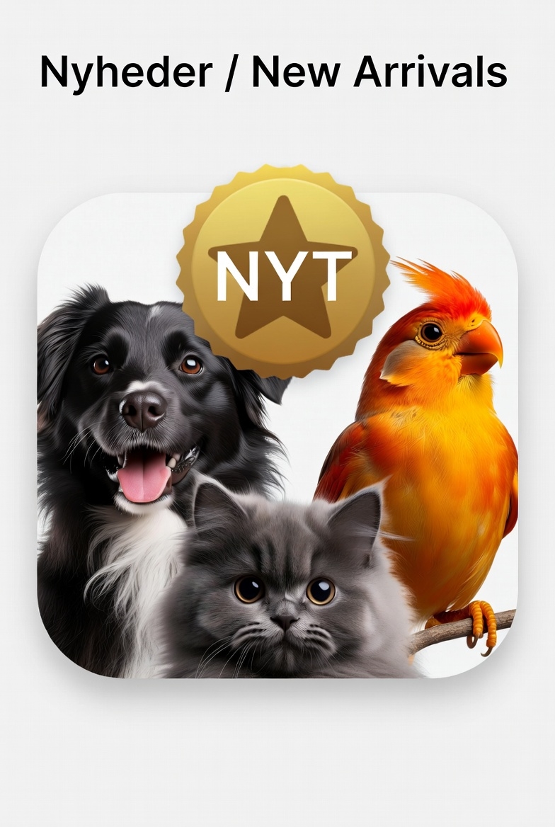 Nyheder
